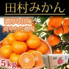 高級ブランド田村みかん　５kg
※2024年11月下旬〜2025年1月下旬頃に順次発送予定