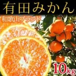 完熟有田みかん10kg
※2024年11月下旬〜2025年1月下旬頃に順次発送予定 