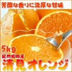 とにかくジューシー清見オレンジ　５kg※2025年3月下旬～4月中旬頃に順次発送予定