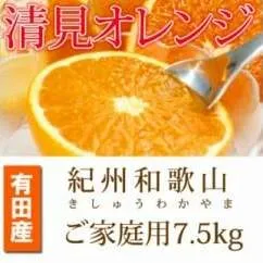 【ご家庭用訳アリ】紀州有田産清見オレンジ　７.５kg
※2025年3月下旬～4月中旬頃に順次発送予定