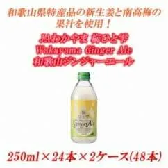 JAわかやま 梅ひと雫 Wakayama Ginger Ale 和歌山ジンジャーエール 250ml ×24本×2ケース(48本)