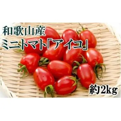 【2025年1月出荷分】和歌山産ミニトマト「アイコトマト」約2kg（S・Mサイズおまかせ）※北海道、沖縄、離島への配送不可 ※2025年1月中旬～1月下旬頃に順次発送予定