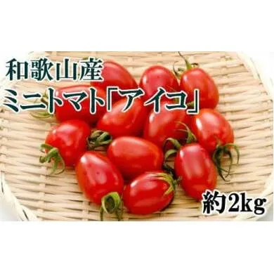 【4月出荷分】和歌山産ミニトマト「アイコトマト」約2kg（S・Mサイズおまかせ）　※北海道、沖縄、離島への配送不可　※2025年4月上旬～4月下旬頃に順次発送予定