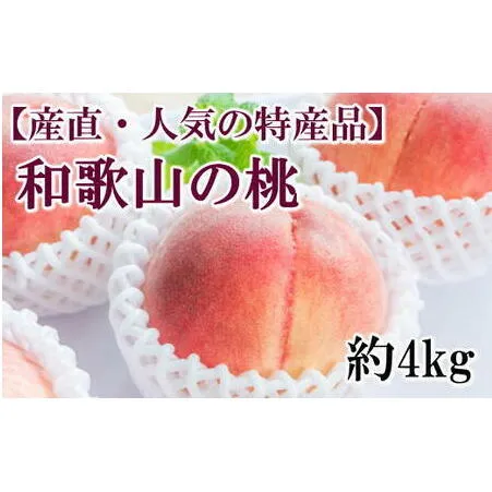 【産直・人気の特産品】和歌山の桃　約4kg・秀品◇ ｜ モモ 国産 フルーツ お取り寄せ ギフト
※北海道・沖縄・離島への配送不可
※2025年6月下旬～8月上旬頃に順次発送予定