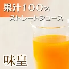 有田みかん果汁１００％ジュース　「味皇」　７２０ｍｌ×２本