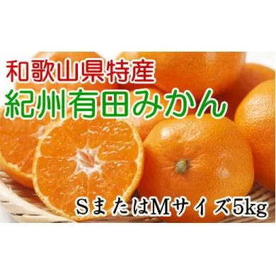 [秀品]和歌山有田みかん5kg(SサイズまたはMサイズのいずれかをお届け) ※2024年11月中旬～2025年1月中旬頃に順次発送予定