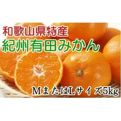 [秀品]和歌山有田みかん5kg(MサイズまたはLサイズのいずれかをお届け) ※2024年11月中旬～2025年1月中旬頃に順次発送予定