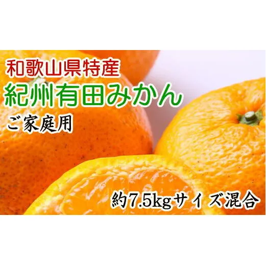 [ご家庭用]有田みかん約7.5kg(サイズ混合)　※2024年11月中旬～2025年1月中旬頃に順次発送予定