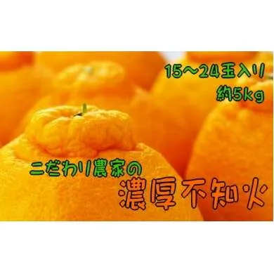 【先行予約】こだわり農家の濃厚不知火（デコポンと同品種） 15～24玉（約5kg）　※2024年2月上旬～3月下旬頃に順次発送予定