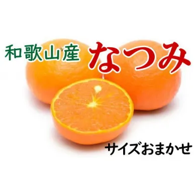 【希少柑橘】和歌山県産なつみ約5kg（S～2Lサイズおまかせ） ※2025年4月上旬～4月下旬頃に順次発送予定 