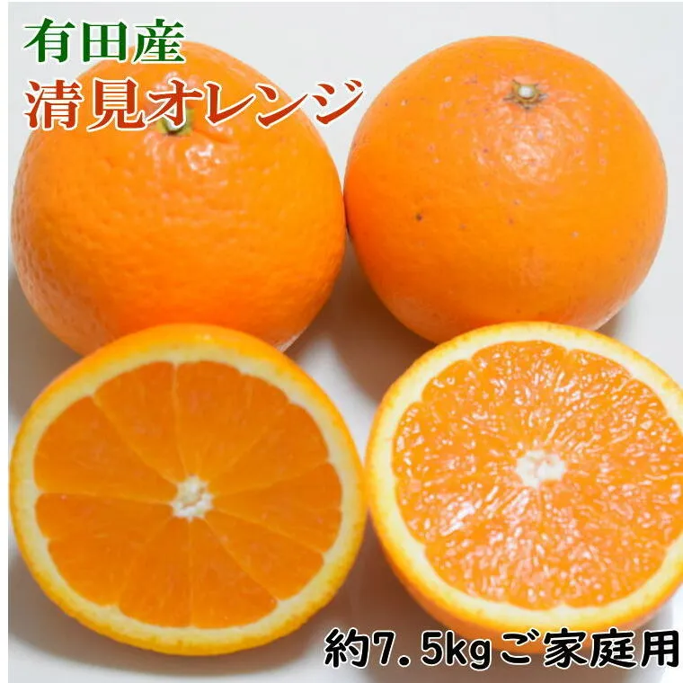 【産直】有田産清見オレンジ 約7.5kg（訳あり家庭用サイズおまかせまたは混合）※2025年2月上旬～3月下旬頃に順次発送予定