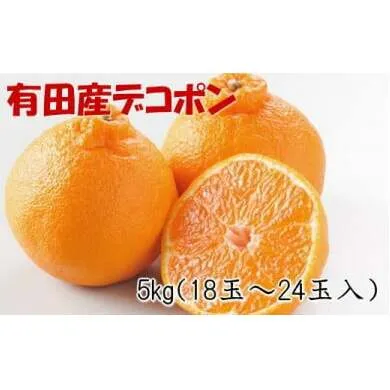 【お味濃厚】紀州有田産のデコポン約5kg（18玉～24玉入り・青秀以上） ※2025年1月中旬～3月中旬頃に順次発送予定