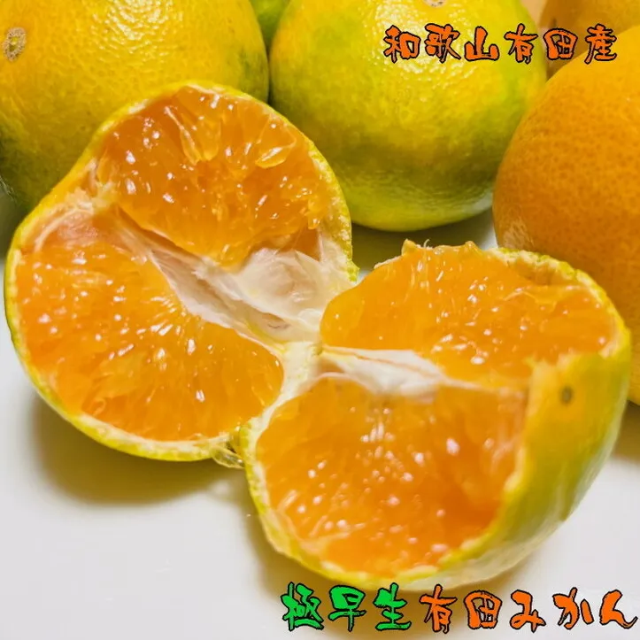 【先行予約】【秋の美味】【農家直送】濃厚極早生有田みかん（ご家庭用）5kg ※2024年10月中旬～10月下旬頃に順次発送予定 ※沖縄への配送不可