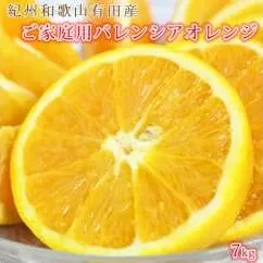 【ご家庭用訳あり】希少な国産バレンシアオレンジ 7kg ※2025年6月下旬～7月上旬頃に順次発送予定