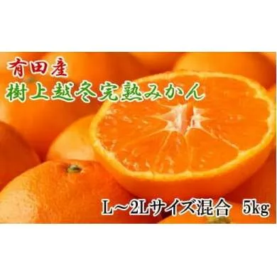 【濃厚・まろやか】有田産樹上越冬完熟みかん5kg（L～2Lサイズ混合） ふるさと納税 みかん ※2025年1月下旬～2月中旬頃に順次発送予定※着日指定不可※離島への配送不可