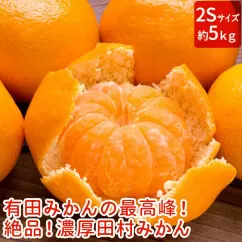 【和歌山特産品】【プレミアムブランド】絶品！濃厚田村みかん〔2Sサイズ〕秀品　 約５kg ※北海道・沖縄地域へのお届け不可 ※2021年11月下旬～12月下旬頃に順次発送予定