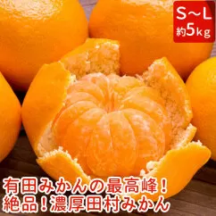 【和歌山特産品】【プレミアムブランド】絶品!田村みかん 約５kg ※北海道・沖縄地域へのお届け不可 ※2021年11月下旬～12月下旬頃に順次発送予定