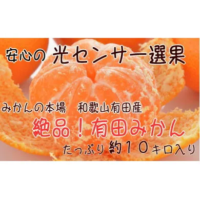 【みかんの本場和歌山有田】絶品！濃厚有田みかん 〔秀品・Ｍサイズ〕 約10kg ※2021年11月上旬～12月下旬頃に順次発送予定 ※北海道・沖縄地域へのお届け不可