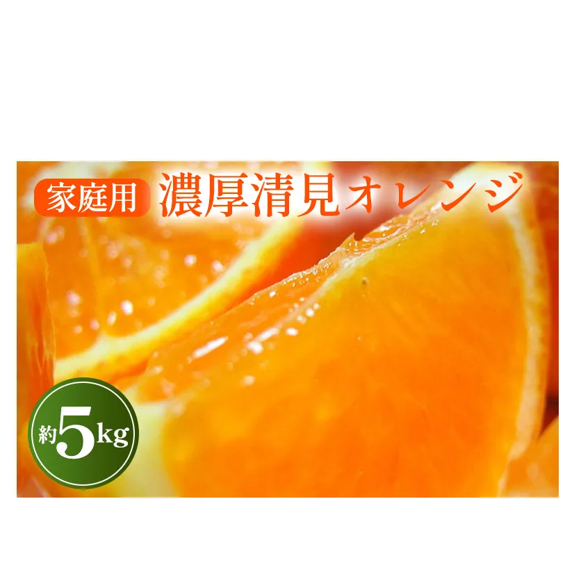 【先行予約】【春の美味】【農家直送】濃厚清見オレンジ（ご家庭用）約5kg
※2025年2月下旬～4月中旬頃に順次発送予定
※沖縄・離島への配送不可