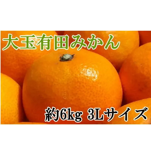 [秀品]和歌山有田みかん6kg(3Lサイズ)
※2024年11月中旬～2025年1月中旬頃に順次発送予定