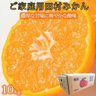 【ご家庭用訳あり】田村みかん　１０kg
※2024年11月下旬〜2025年1月下旬頃に順次発送予定