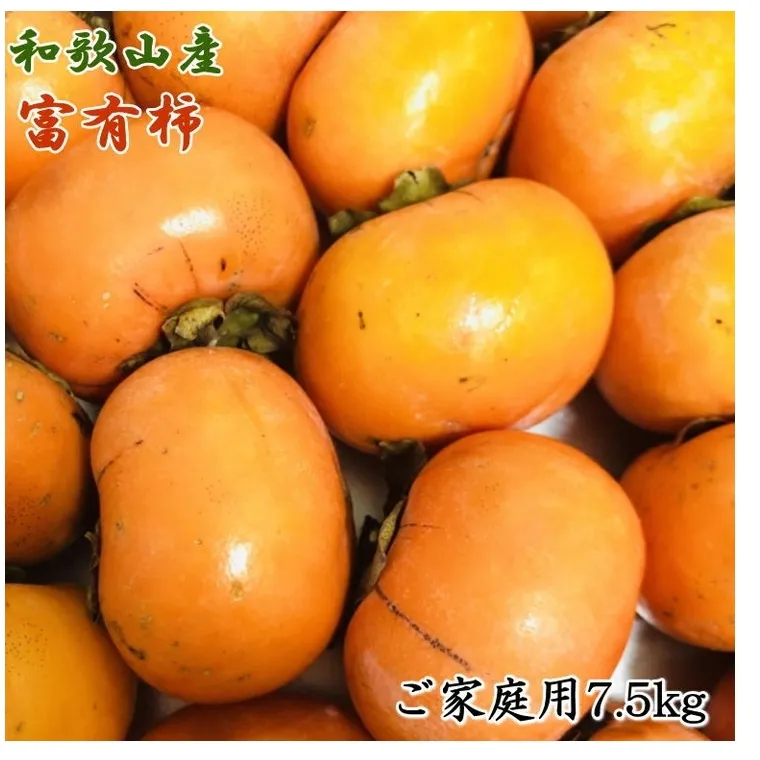 和歌山産富有柿ご家庭用約7.5kg ※2024年11月上旬～12月上旬頃に順次発送予定 ※離島への配送不可