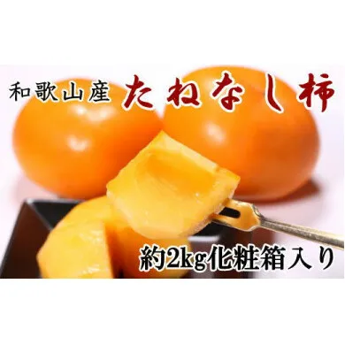 【厳選・産直】和歌山産のたねなし柿2L～4Lサイズ約2kg（化粧箱入り） ※2024年10月上旬～11月上旬頃に順次発送予定 ※離島への配送不可