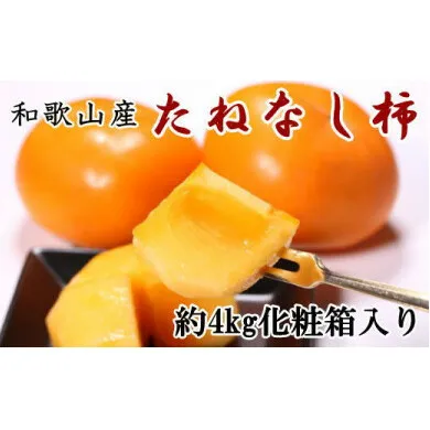 【厳選・産直】和歌山産のたねなし柿2L～4Lサイズ約4kg（化粧箱入り） ※2024年10月上旬～11月上旬頃に順次発送予定 ※離島への配送不可