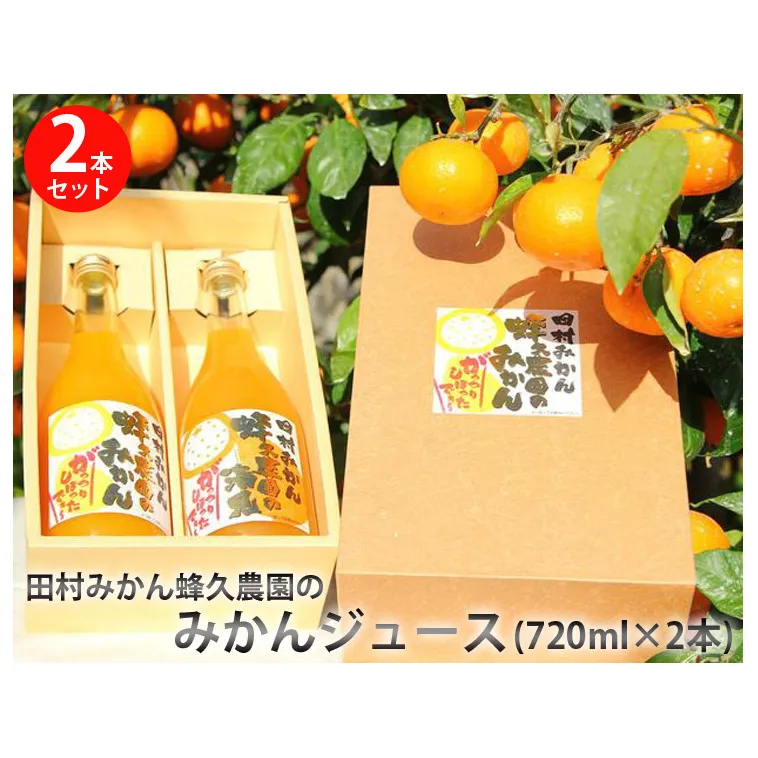 田村みかん蜂久農園のみかんがっつりしぼったでぇ　みかんジュース(720ml×2本)
