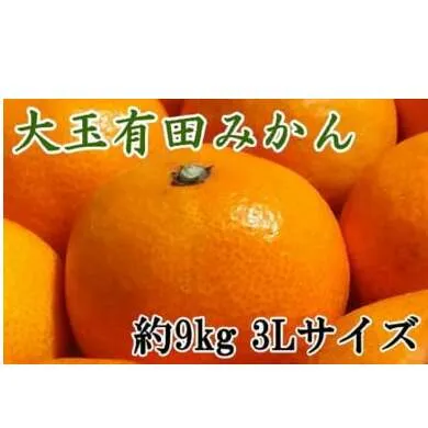 【食べごたえ十分】有田みかん大玉9kg（3Lサイズ・秀品）
※2024年11月中旬～2025年1月中旬頃より順次配送予定