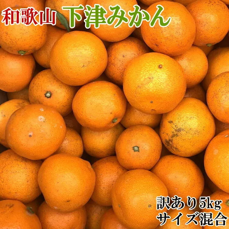 【訳あり】和歌山下津みかん5kgご家庭用向け(サイズ混合)
※2024年11月中旬～2025年1月中旬頃に順次発送予定