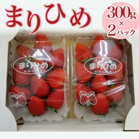 【2024年1月中旬～発送】「まりひめ」和歌山県オリジナルいちご　約300g×2パック入
※北海道・沖縄・離島への配送不可