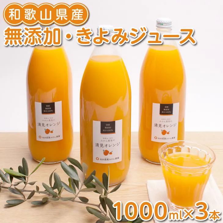 無添加・きよみジュース1000ml×3本◇
※着日指定不可
※北海道・沖縄・離島への配送不可