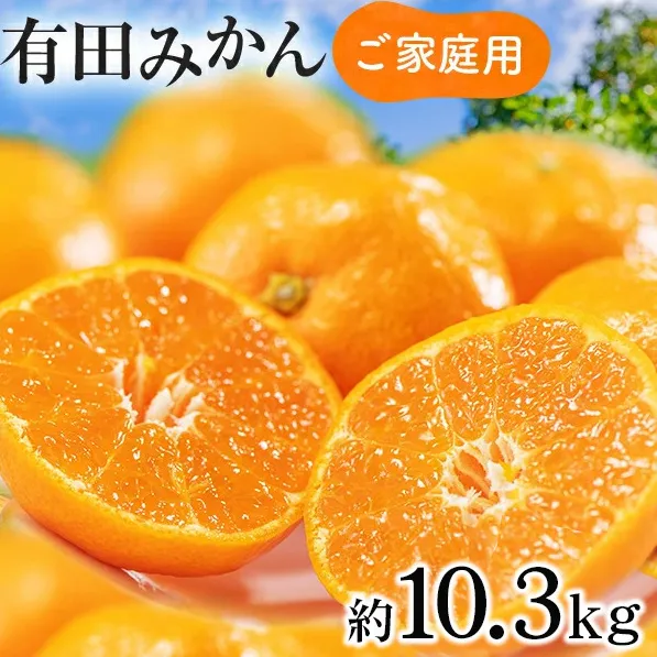 【先行予約】【数量限定】濃厚有田みかん（ご家庭用）約10.3kg 【2024年11月上旬～11月下旬頃発送】または【2024年12月上旬～12月下旬頃発送】
※北海道・沖縄・離島への配送不可