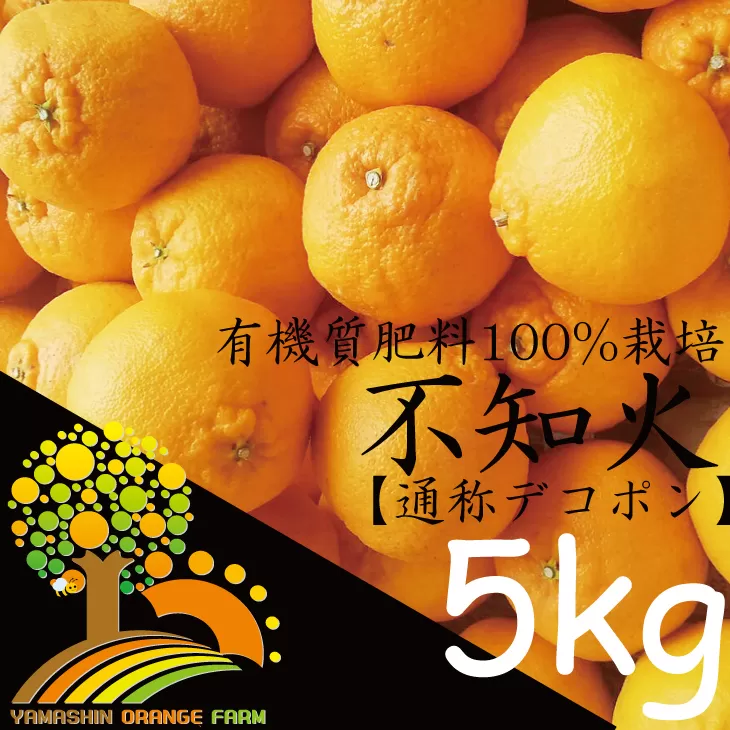 こだわりのデコポン不知火 約5kg 有機質肥料100%〈先行予約受付〉＼光センサー選別／ ※2025年2月中旬～3月中旬頃に順次発送予定 ※沖縄・離島への配送不可