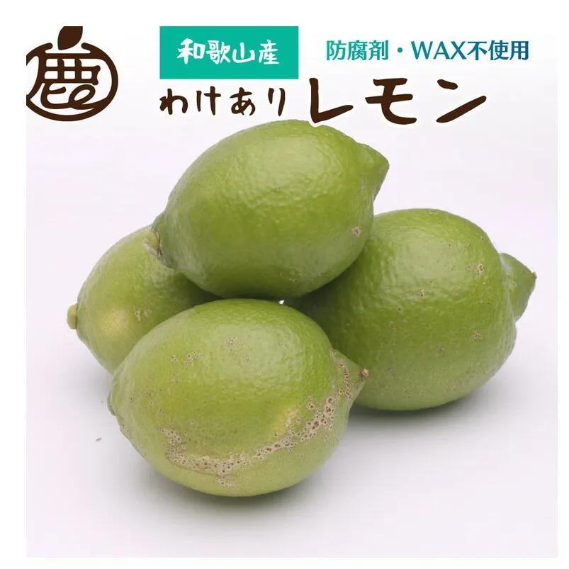 ＜9月より発送＞家庭用 黒潮レモン3kg+90g（傷み補償分）【和歌山有田産】【防腐剤・WAX不使用、安心の国産レモン】【わけあり・訳ありレモン】　※北海道・沖縄・離島への配送不可　※ご指定の期間内に順次発送