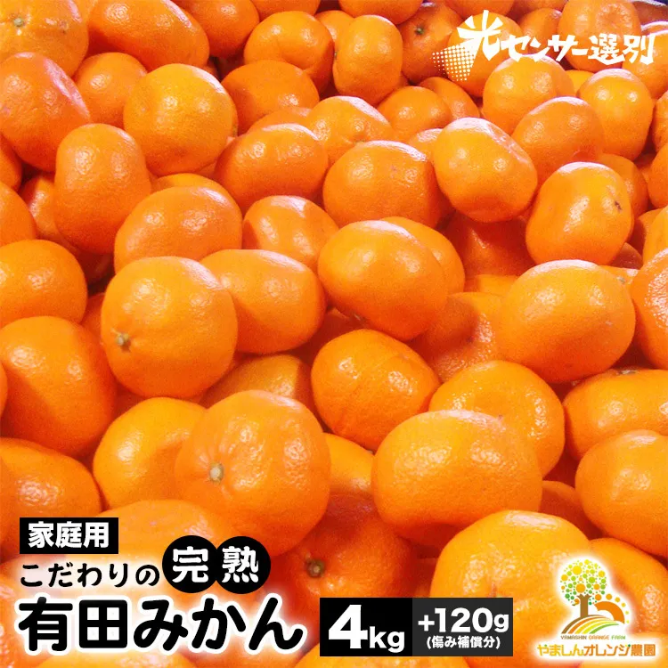 ＼光センサー選別／こだわりの完熟有田みかん 4kg＋120g(傷み補償分) 【ご家庭用】サイズ混合 有機質肥料100% | みかん 有田みかん 温州みかん ミカン 温州ミカン 柑橘 温州 甘い コク 産地直送
※2024年11月中旬～2025年1月上旬頃に順次発送予定
※北海道・沖縄・離島への配送不可