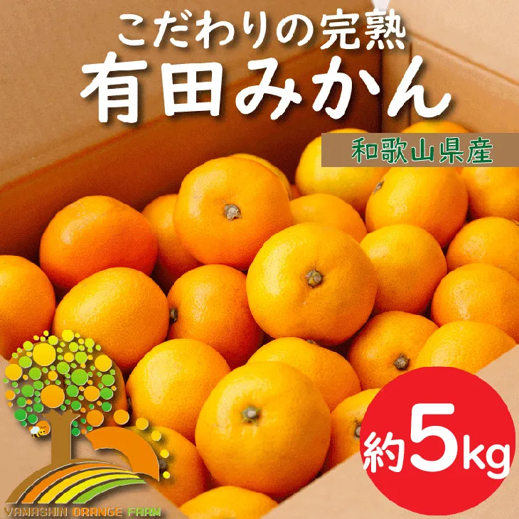 ＼農家直送／こだわりの完熟有田みかん 約5kg 有機質肥料100%※2024年11月中旬～2025年1月上旬頃に順次発送予定※沖縄・離島への配送不可