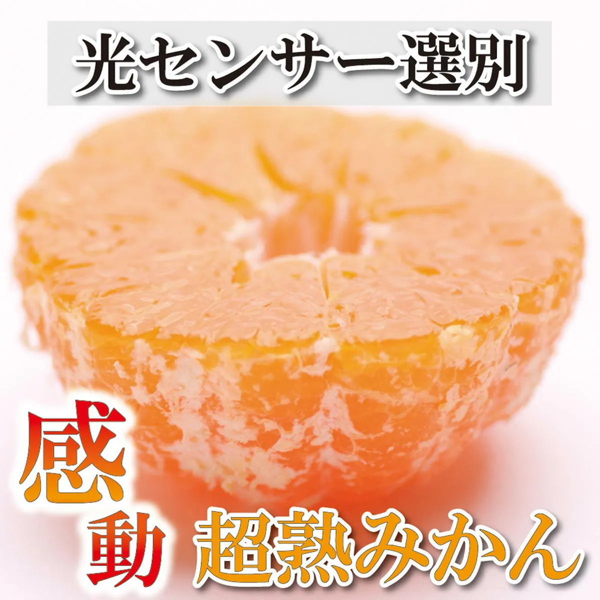 ＜2024年11月より発送＞家庭用 超熟有田みかん2.5kg+75g（傷み補償分）【わけあり・訳あり】【光センサー選果】　※北海道・沖縄・離島への配送不可　※2024年11月上旬～12月下旬頃に順次発送予定