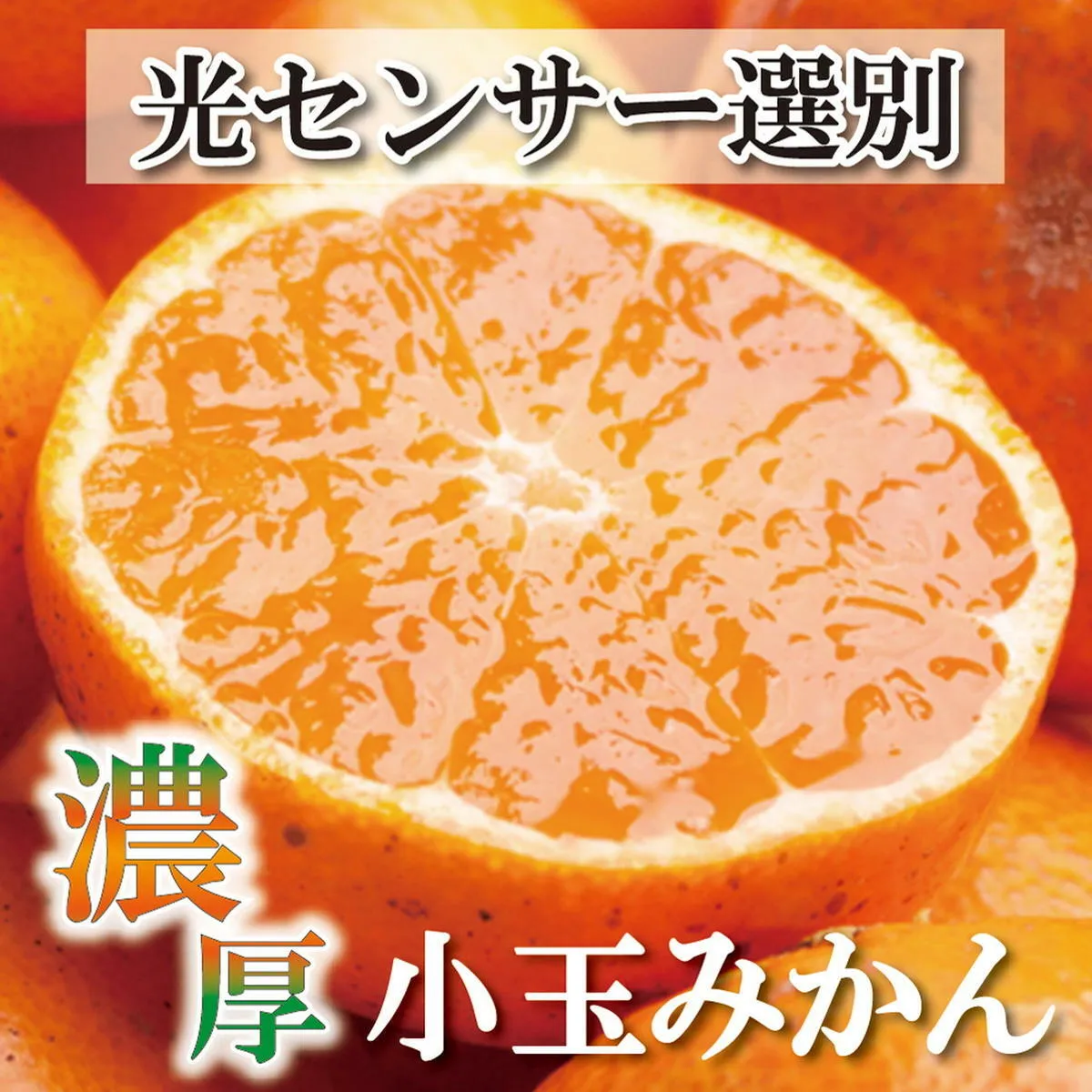 ＜2024年11月より発送＞家庭用 小玉な有田みかん5kg+150g（傷み補償分）【わけあり・訳あり】【光センサー選果】　※北海道・沖縄・離島への配送不可　※2024年11月中旬～12月下旬頃に順次発送予定