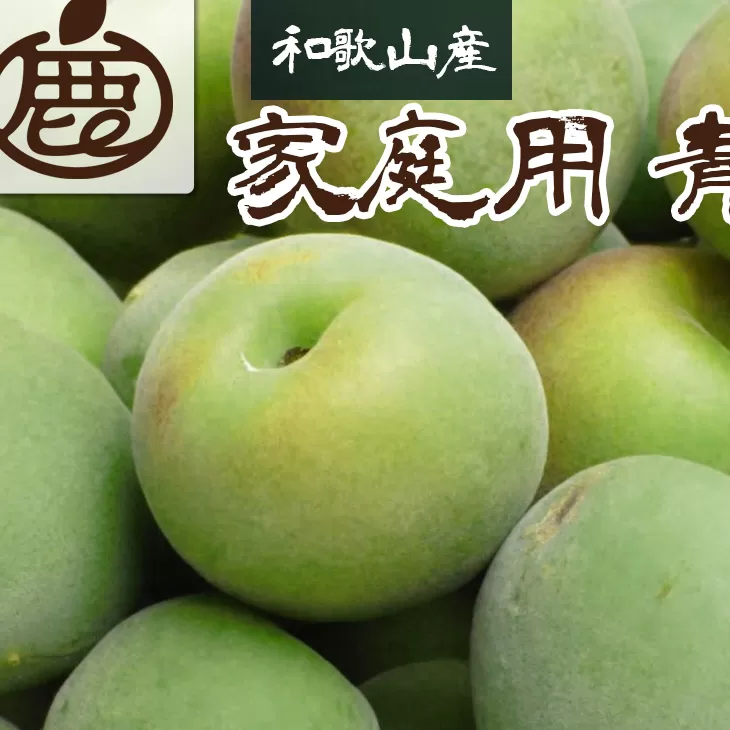 ＜６月発送＞家庭用 青梅5kg+150g（傷み補償分）※2024年6月上旬～下旬頃に順次発送予定 ※北海道・沖縄・離島への配送不可 ※着日指定不可