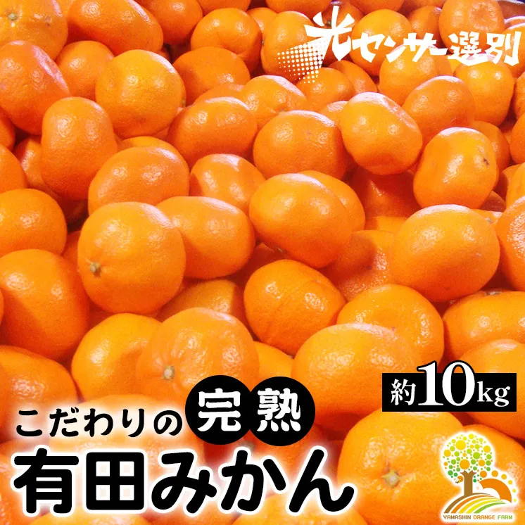 ＼光センサー選別／こだわりの有田みかん 約10kg 有機質肥料100%
※2024年11月中旬頃～2025年1月頃に順次発送予定
※沖縄・離島への配送不可 ふるさと納税 ミカン