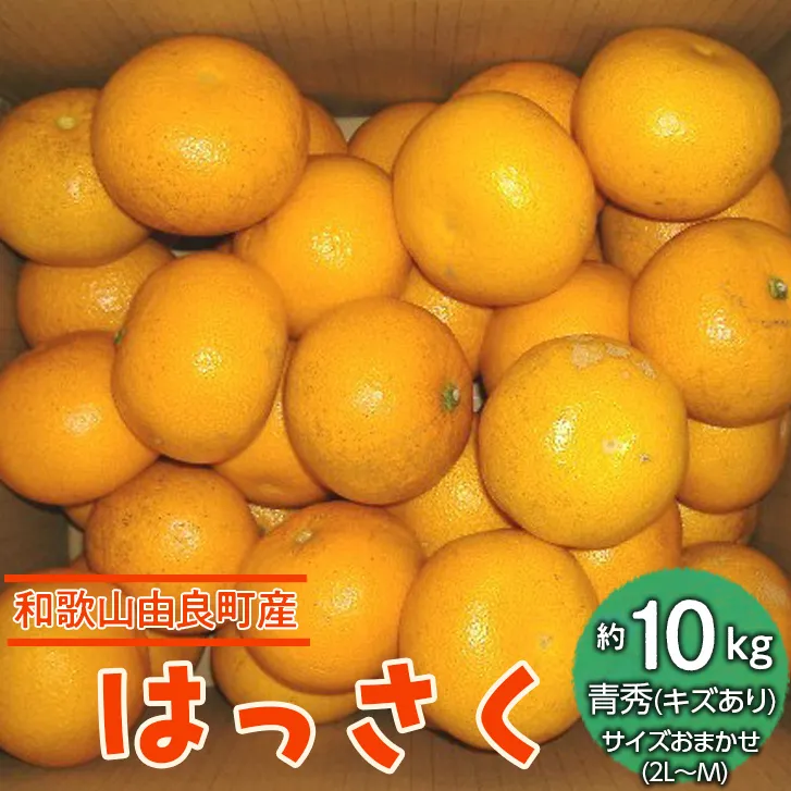 和歌山由良町産はっさく
約10kg　青秀　(キズあり)サイズおまかせ
(２L～М)
※着日指定不可
※3月下旬頃～4月下旬頃に順次発送予定