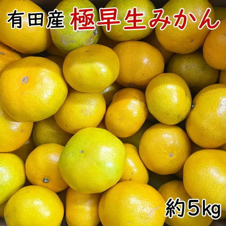 有田産極早生みかん約5kg（サイズ混合）
※着日指定不可
※2023年10月中旬～11月上旬頃に順次発送予定