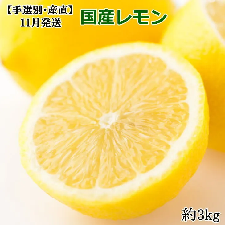 ＊11月発送＊【手選別・産直】紀の川産の安心国産レモン約3kg 
※着日指定不可
※2024年11月上旬～11月下旬頃に順次発送予定