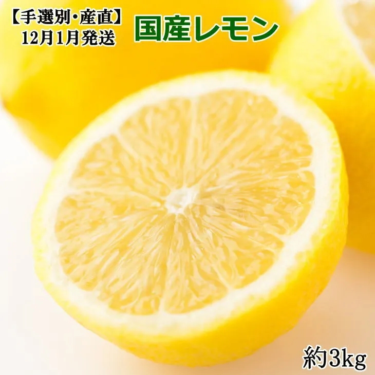 ＊12月・1月発送＊【手選別・産直】紀の川産の安心国産レモン約3kg
※着日指定不可
※2023年12月上旬～2024年1月下旬頃に順次発送予定