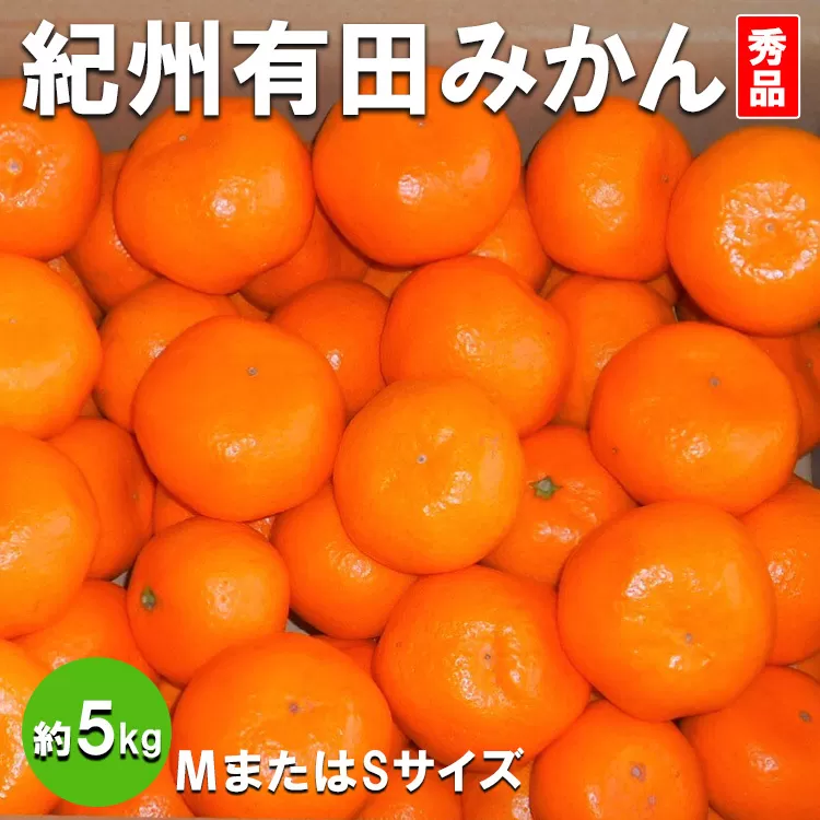 紀州有田みかん　秀品　約5kg　(МまたはSサイズ)
※着日指定不可
※2023年11月中旬～2024年1月中旬頃に順次発送予定