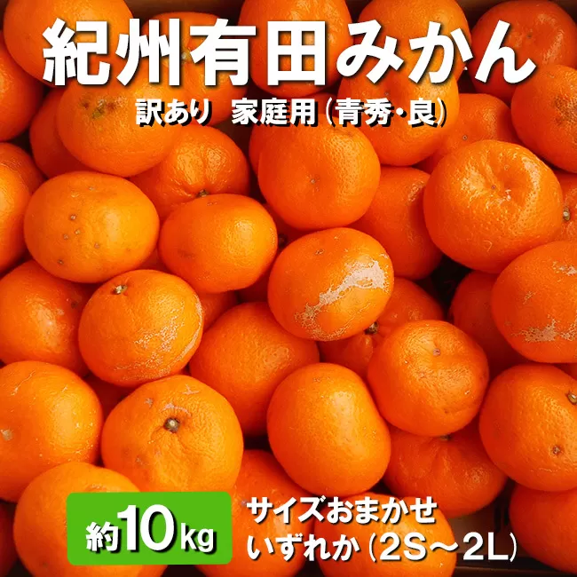 紀州有田みかん　約10kg (2S～2L) サイズおまかせ いずれか【訳あり 家庭用】【青秀・良】
※2023年11月中旬～2024年1月中旬頃に順次発送予定