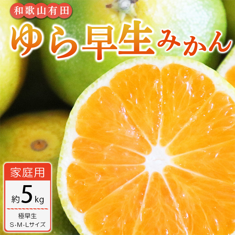 ご家庭用 極早生】和歌山有田ゆら早生みかん 約5kg(S、M、Lサイズ)【美浜町】 ※北海道・沖縄・離島への配送不可 ※2024年10月中旬～11月中旬 頃に順次発送予定｜美浜町｜和歌山県｜返礼品をさがす｜まいふる by AEON CARD