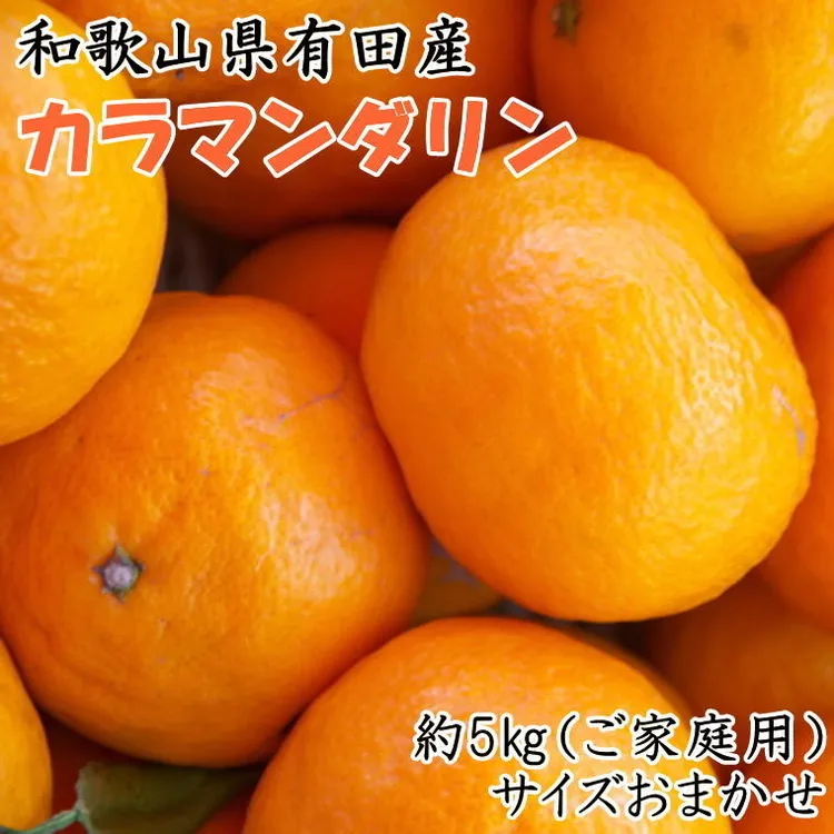 【ご家庭用】和歌山県有田産カラマンダリン約5kg（サイズおまかせ）
※着日指定不可
※2024年4月上旬～5月中旬頃に順次発送予定